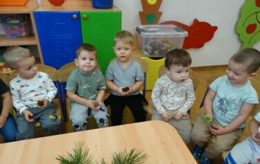 Grupka dzieci siedzi na krzesełkach, w ręce trzyma szyszki.
